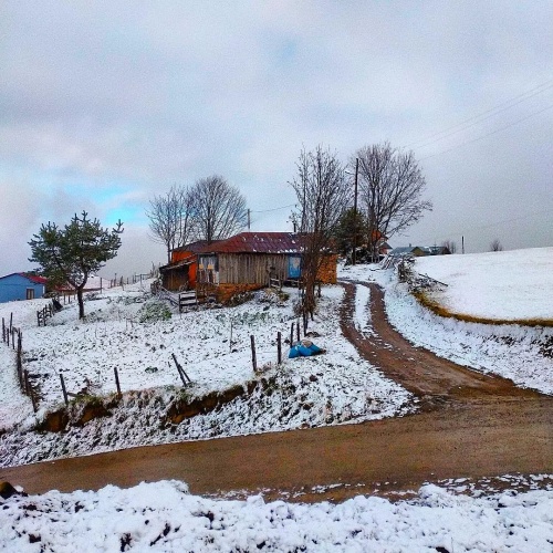 Kayabaşı Yaylası Fotoğraf : Mutlu Aktaş