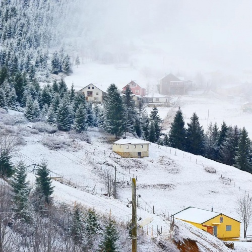 Kayabaşı Yaylası Fotoğraf : Mutlu Aktaş