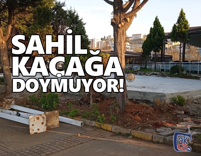 Sahil kaçağa doymuyor!