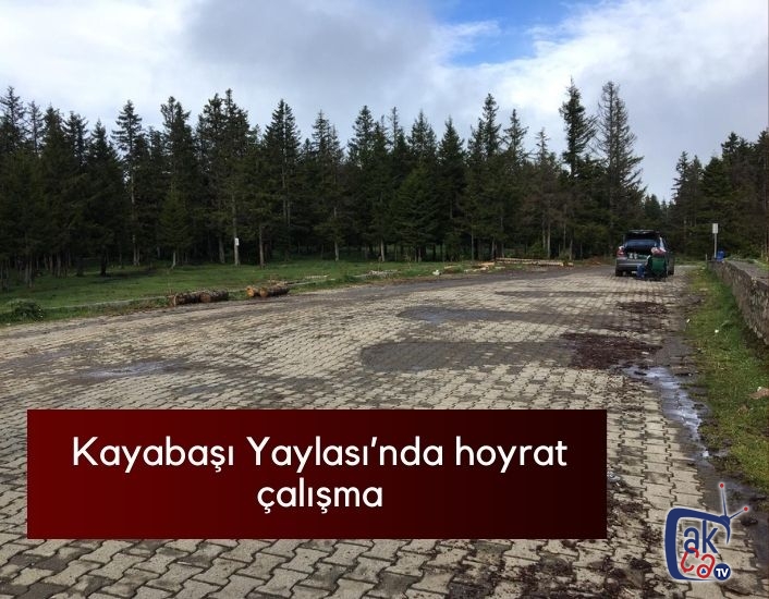 Kayabaşı Yaylası'nda hoyrat çalışma