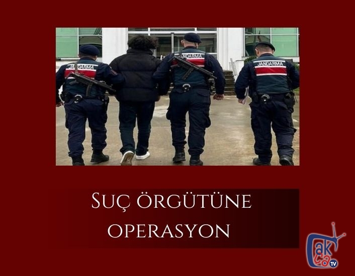 Suç örgütüne operasyon