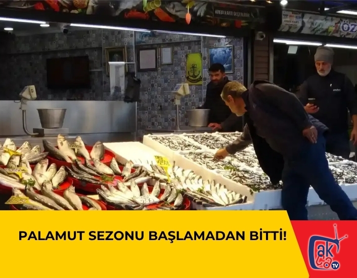 Palamut Sezonu Başlamadan Bitti!