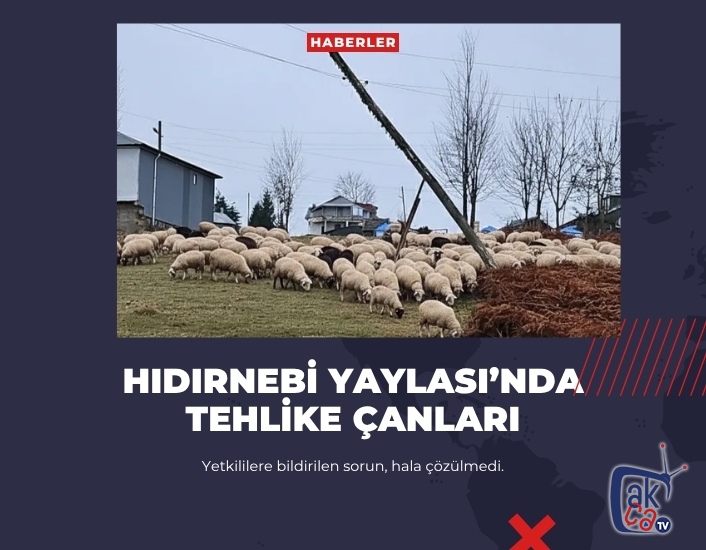 HIDIRNEBİ YAYLASI’NDA TEHLİKE ÇANLARI