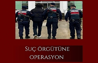 Suç örgütüne operasyon