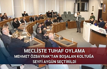 Mecliste tuhaf oylama