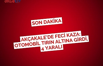 Akçakale'de Feci Kaza: Otomobil Tırın Altına Girdi, 4 Yaralı