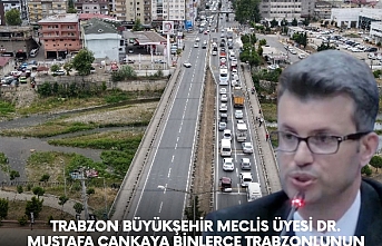 Çankaya Binlerce Trabzonlunun Sorununu Meclise Taşıdı: