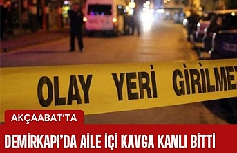 Demirkapı Mahallesi'nde aile içi kavga kanlı bitti. Tartıştığı amcasını silahla vurdu.
