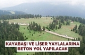 KAYABAŞI VE LİŞER YAYLALARINA BETON YOL YAPILACAK