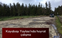Kayabaşı Yaylası'nda hoyrat çalışma
