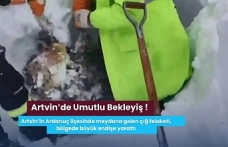 Artvin’de Umutlu Bekleyiş! Çığ Bölgesinde İkinci Gün Aramaları