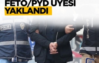 Terör örgütü üyesi yakalandı