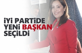 İyi Partide yeni başkan