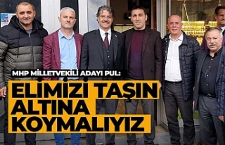 Elimizi taşın altına koyacağız