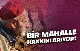 Bir mahalle hakkını arıyor!