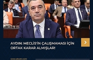 AYDIN: MECLİS'İN ÇALIŞMAMASI İÇİN ORTAK...