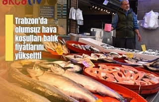 Trabzon'da olumsuz hava koşulları balık fiyatlarını...