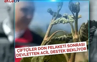 Çiftçiler Don Felaketi Sonrası Devletten Acil Destek...