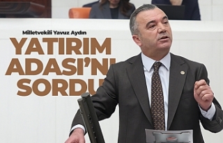 Yatırım Adası'nı sordu