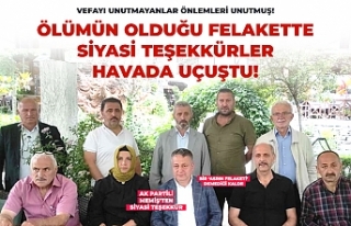 Teşekkürler havada uçuştu!
