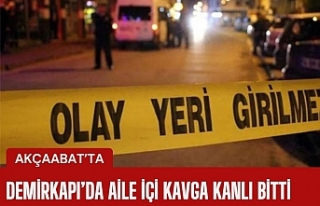 Demirkapı Mahallesi'nde aile içi kavga kanlı...