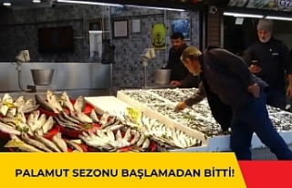 Palamut Sezonu Başlamadan Bitti!