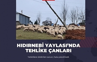 HIDIRNEBİ YAYLASI’NDA TEHLİKE ÇANLARI