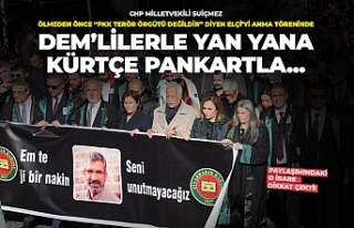 DEM’lilerle Kürtçe pankartın ardına geçti!