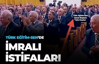 Türk Eğitim-Sen'de İmralı istifaları!