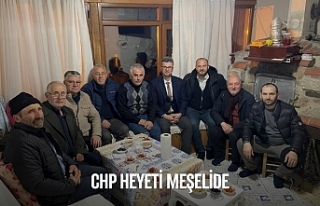 CHP HEYETİ MEŞELİDE