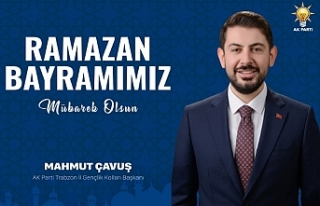 Mahmut Çavuş