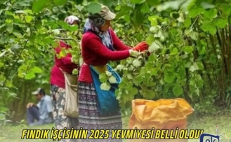Fındık İşçisinin 2025 Yevmiyesi Belli Oldu!