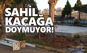 Sahil kaçağa doymuyor!
