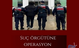 Suç örgütüne operasyon