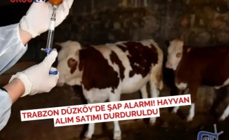 Trabzon Düzköy'de Şap Alarmı! Hayvan Alım Satımı Durduruldu