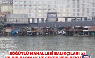 Söğütlü Mahallesi Balıkçıları 22 Yıldır Barınak ve Çekek Yeri Bekliyor