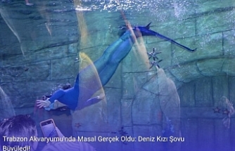 Trabzon Akvaryumu'nda Masal Gerçek Oldu: Deniz Kızı Şovu Büyüledi!
