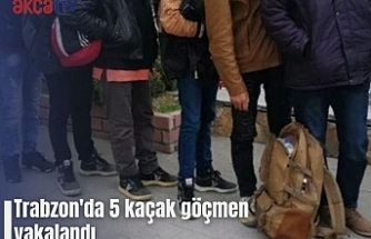 Trabzon'da 5 kaçak göçmen yakalandı