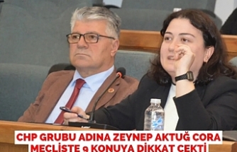 CHP GRUBU ADINA ZEYNEP AKTUĞ CORA MECLİSTE 9 KONUYA DİKKAT ÇEKTİ
