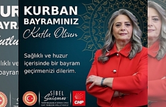 Sibel Suiçmez