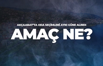 Oda seçimleri aynı günde, amaç ne?