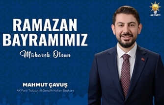 Mahmut Çavuş