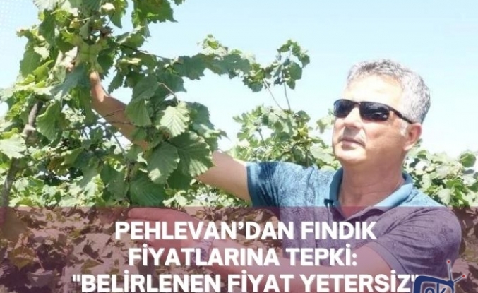 PEHLEVAN’DAN FINDIK FİYATLARINA TEPKİ: "BELİRLENEN FİYAT YETERSİZ"