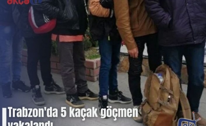 Trabzon'da 5 kaçak göçmen yakalandı