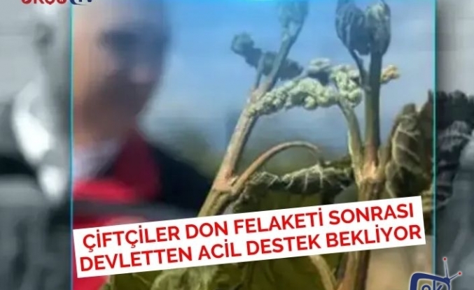 Çiftçiler Don Felaketi Sonrası Devletten Acil Destek Bekliyor