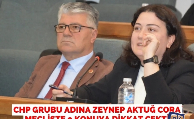 CHP GRUBU ADINA ZEYNEP AKTUĞ CORA MECLİSTE 9 KONUYA DİKKAT ÇEKTİ