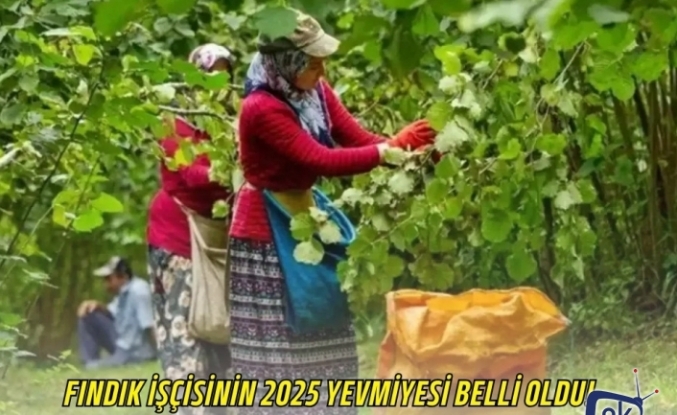 Fındık İşçisinin 2025 Yevmiyesi Belli Oldu!