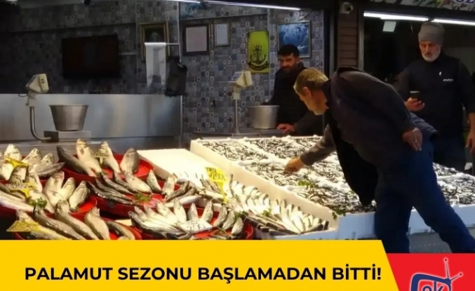 Palamut Sezonu Başlamadan Bitti!