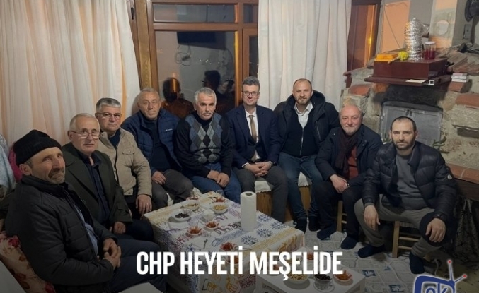CHP HEYETİ MEŞELİDE