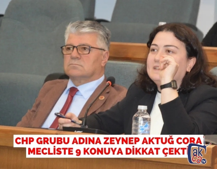CHP GRUBU ADINA ZEYNEP AKTUĞ CORA MECLİSTE 9 KONUYA DİKKAT ÇEKTİ
